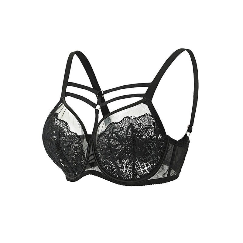 Lace Mesh Plus Size Bra for HYWEARS B2B manufacturing